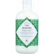 Nubian Heritage - Olive Oil Vegan Shampoo - 12oz Online Hot Sale