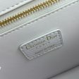 CN - New Collection Bags DIR 094 Online