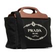 Prada Wood Handle Canapa Logo Satchel MVwVck Fashion