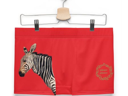 [Peek-a-Boo Zebra] Boxer Briefs For Cheap