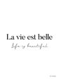 ST903 - Life is Beautiful in French - 12x16 Supply